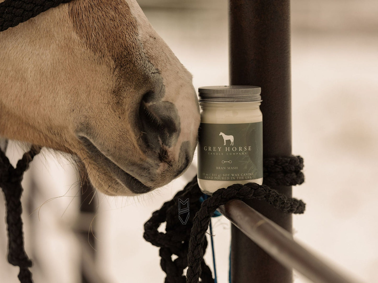 BRAN MASH - Holiday Collection CLOSEOUT