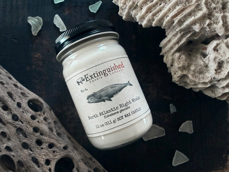 Extinguished Candle Company