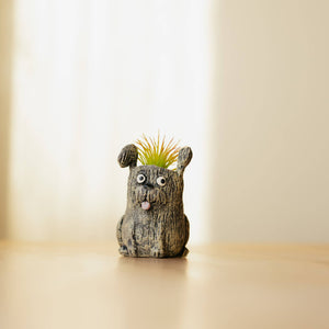 MacDuff Dog Blobhouse Planter