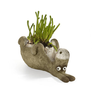 Chester, the Donkey Blobhouse Planter