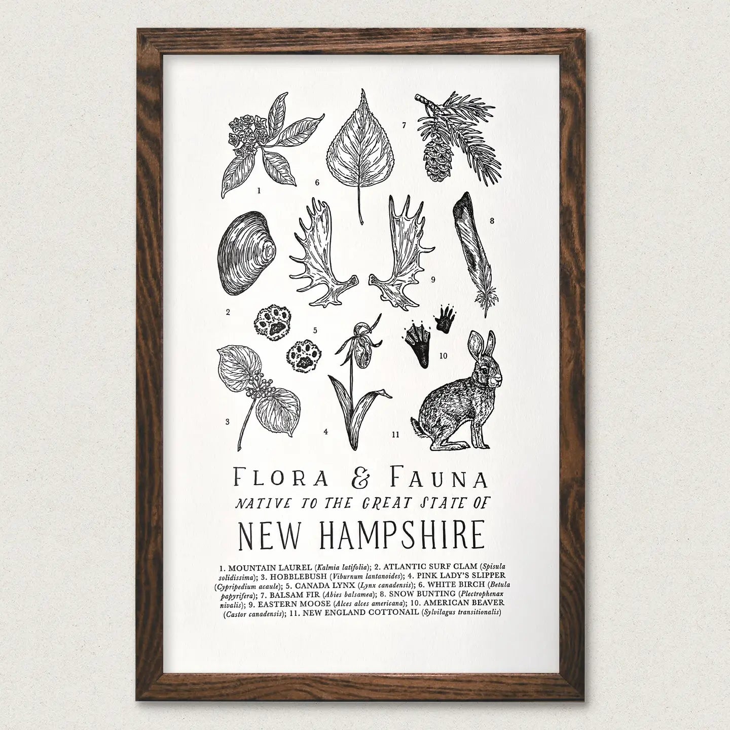 THE WILD WANDER'S NEW HAMPSHIRE FIELD GUIDE PRINT