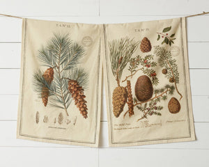 Tea Towels - Winter Botanical (PK/2 AST)