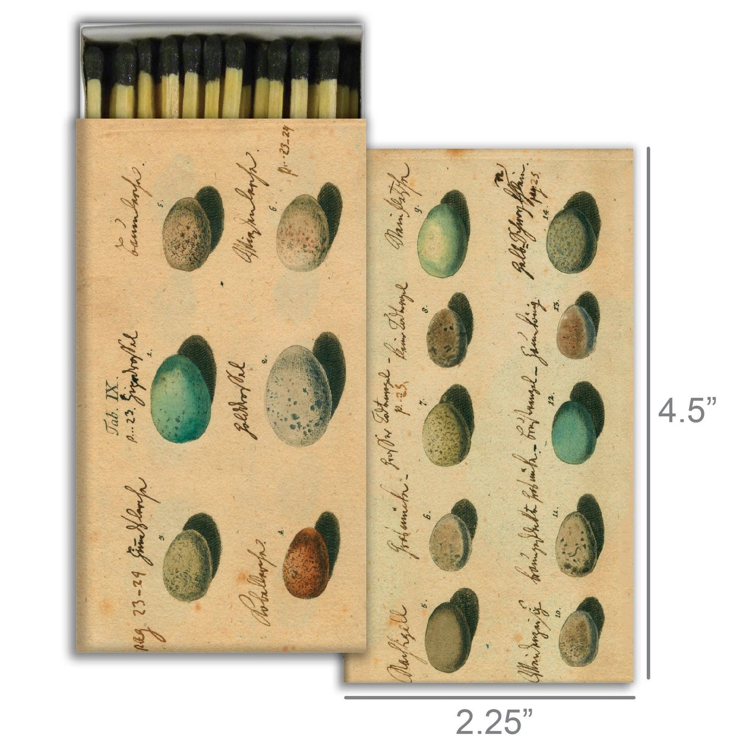 Matches - Eggs