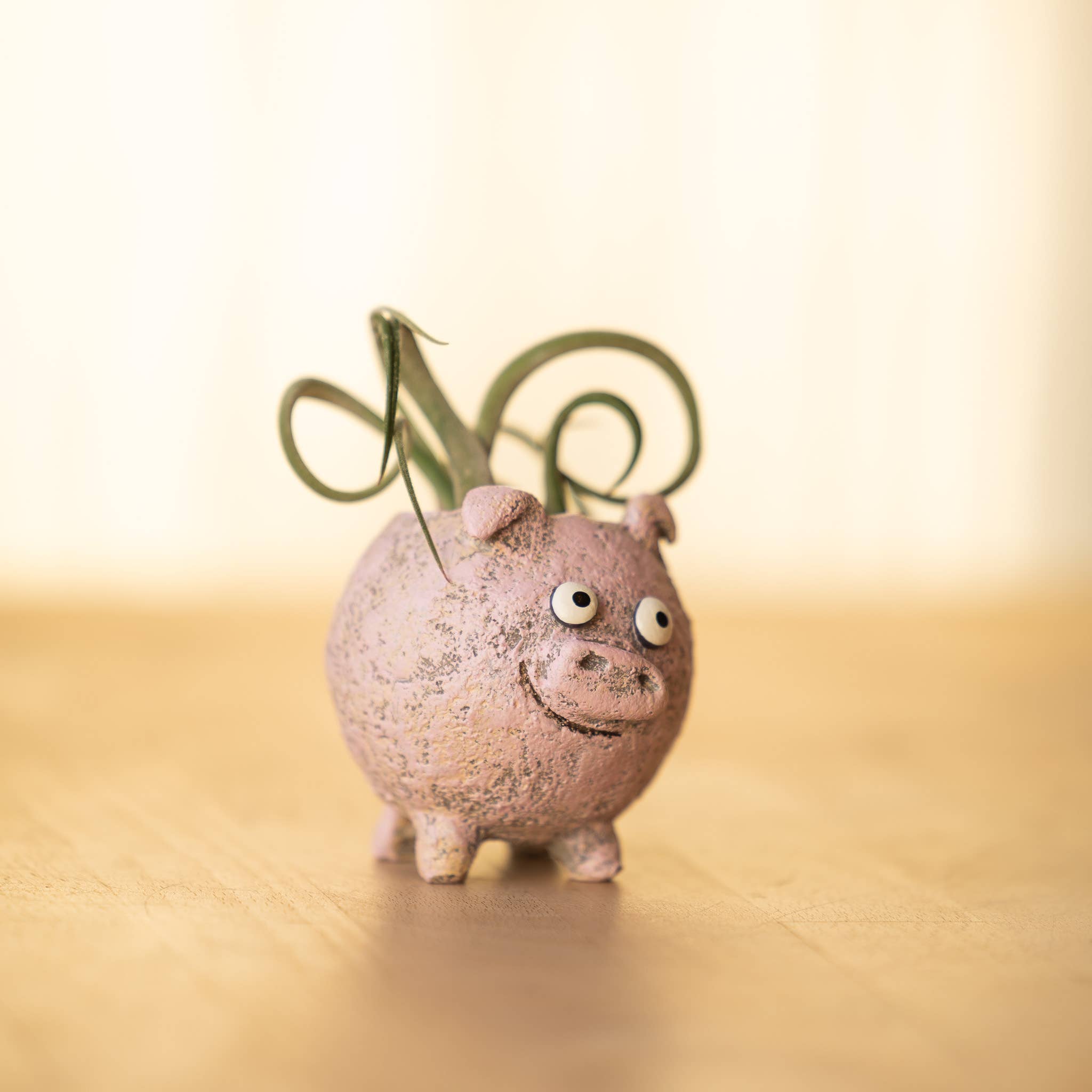 Henrietta the Pig Blobhouse Planter