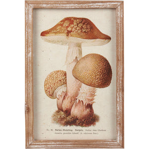 Mushroom Framed Wall Art