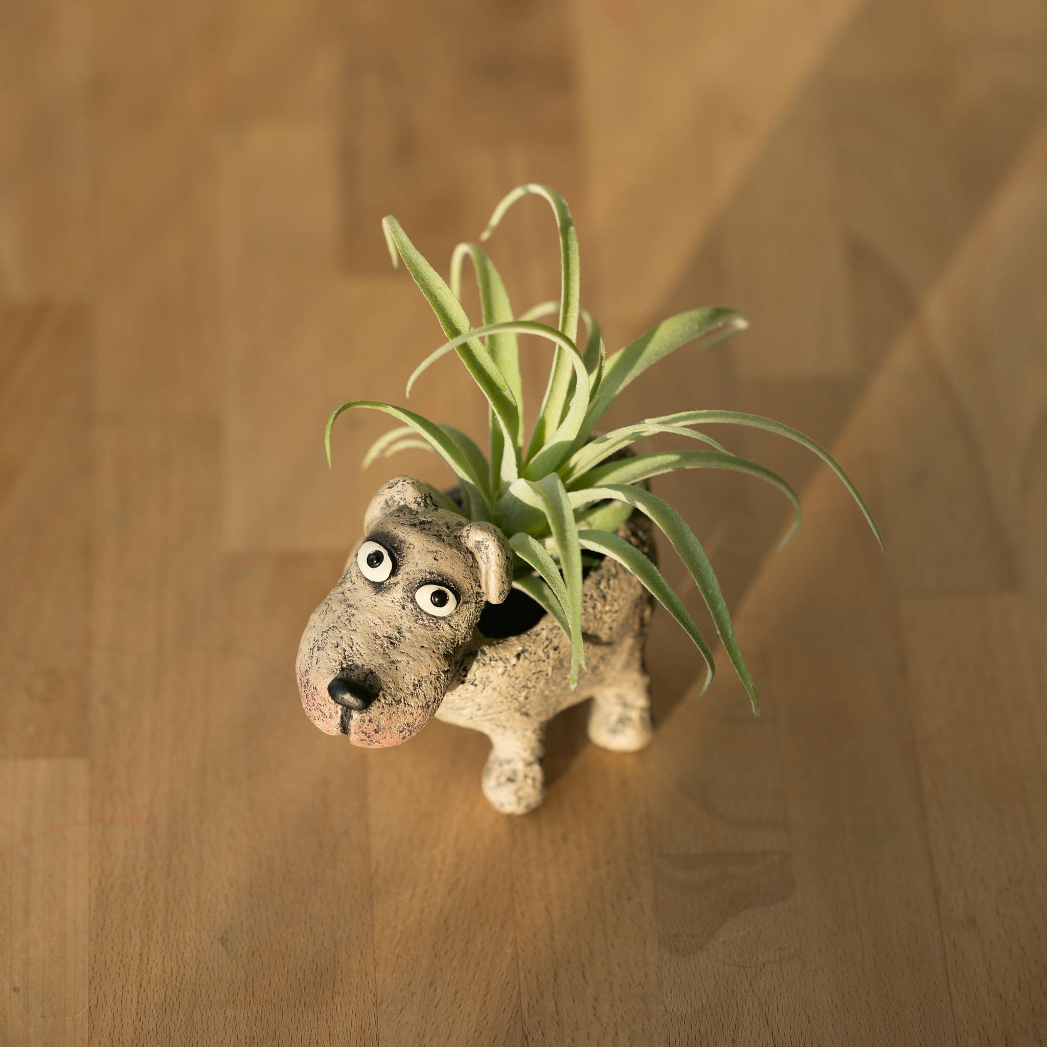 Petunia Dog Blobhouse Planter