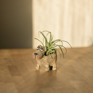 Petunia Dog Blobhouse Planter