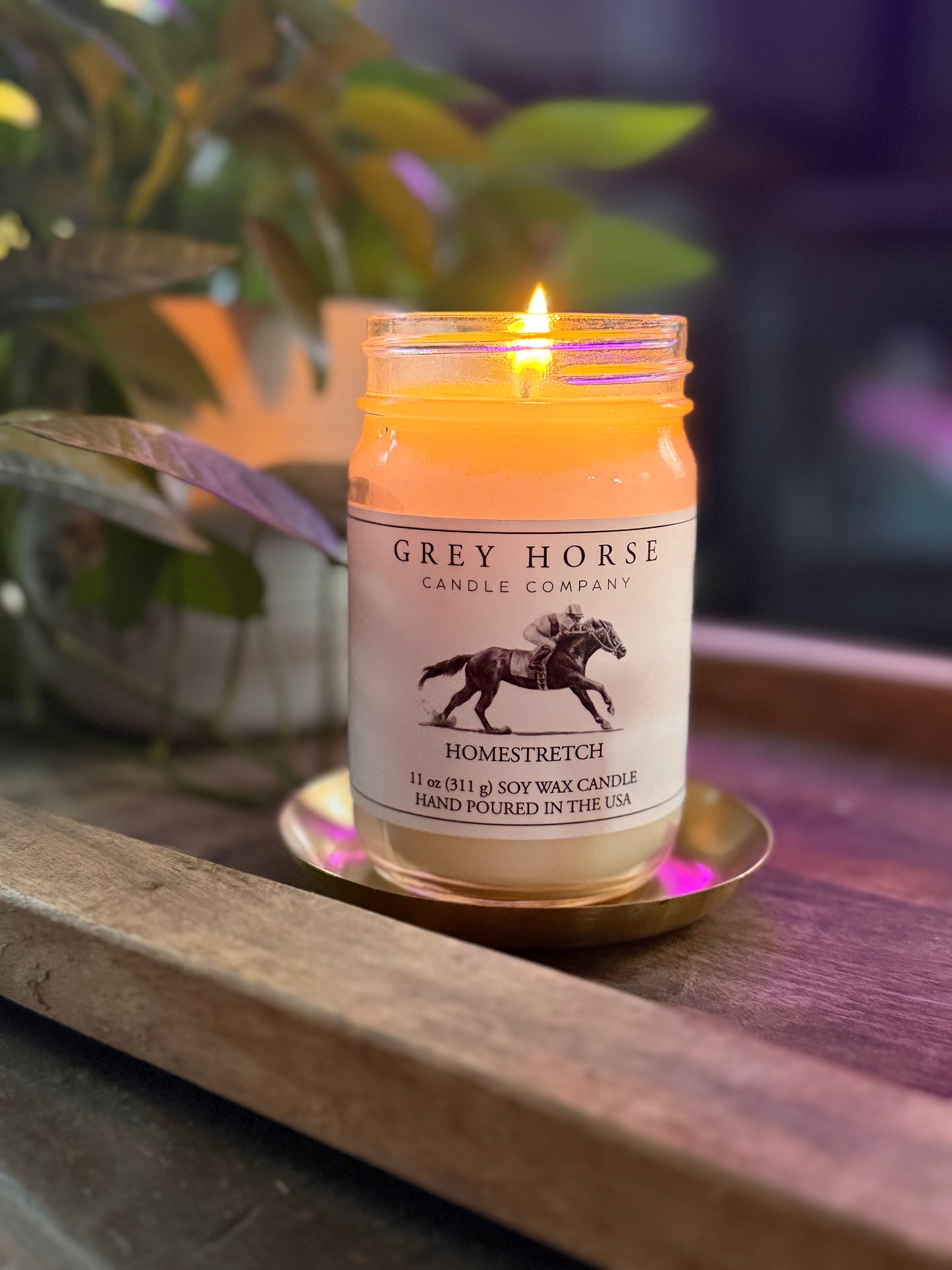 HOMESTRETCH - Trot It Forward Collection