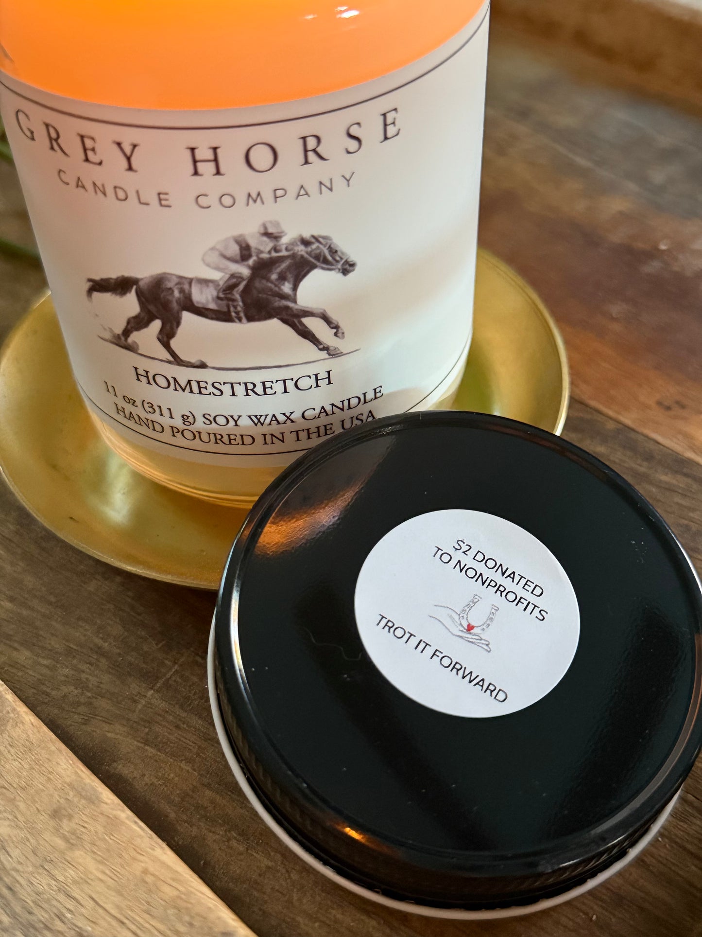 HOMESTRETCH - Trot It Forward Collection