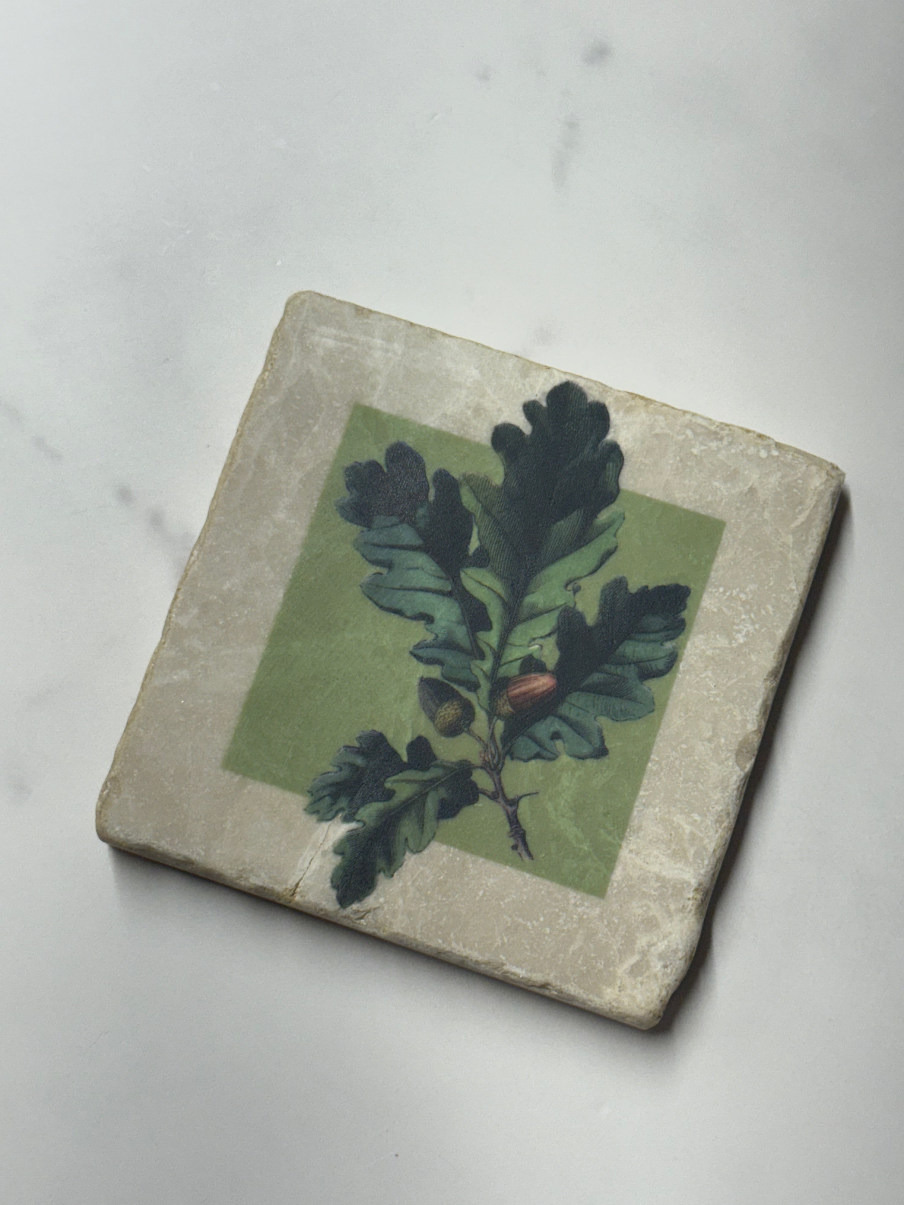 Acorn Marble Coaster #1