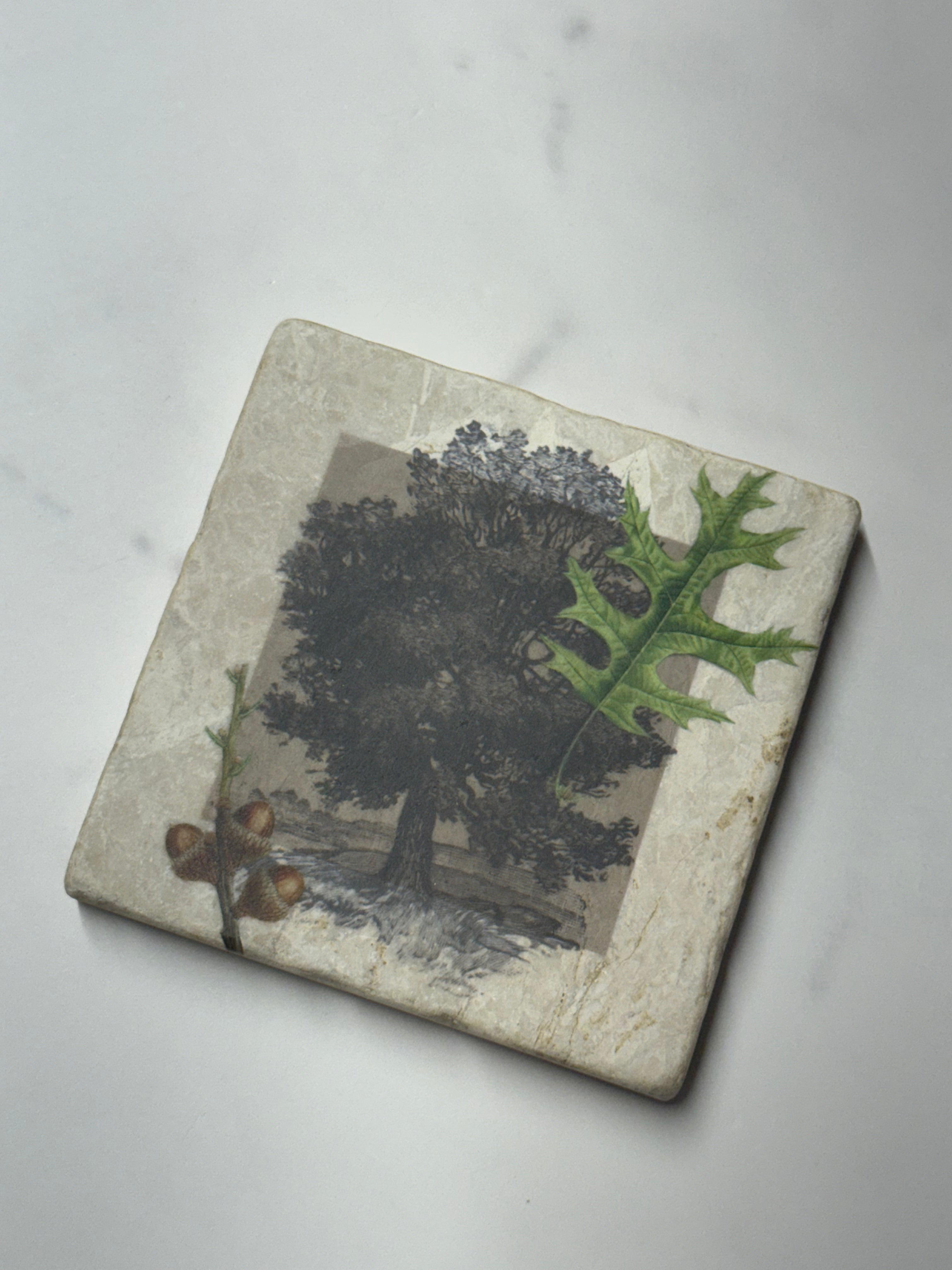 Acorn Marble Coaster #4