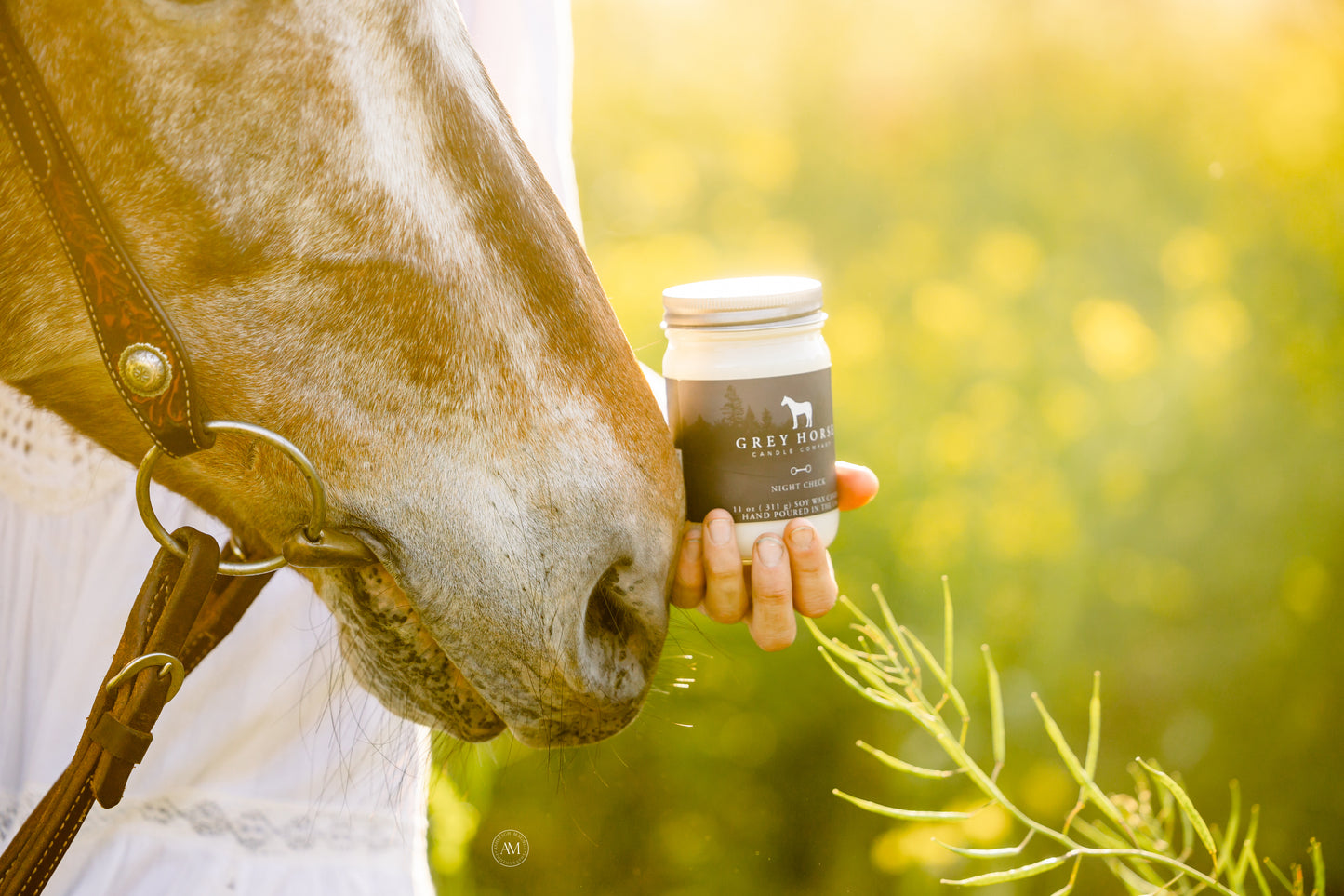 NIGHT CHECK - SCENT OF THE MONTH