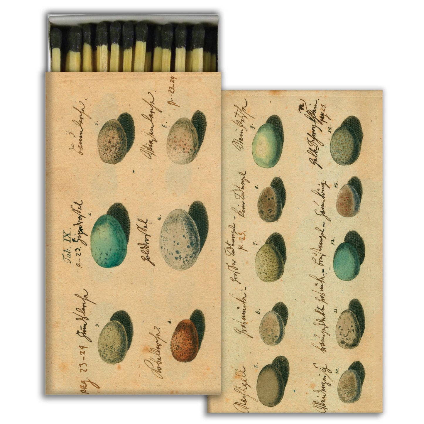 Matches - Eggs