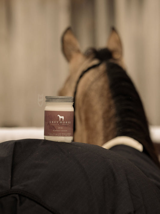 BLANKET SEASON - Holiday Collection CLOSEOUT